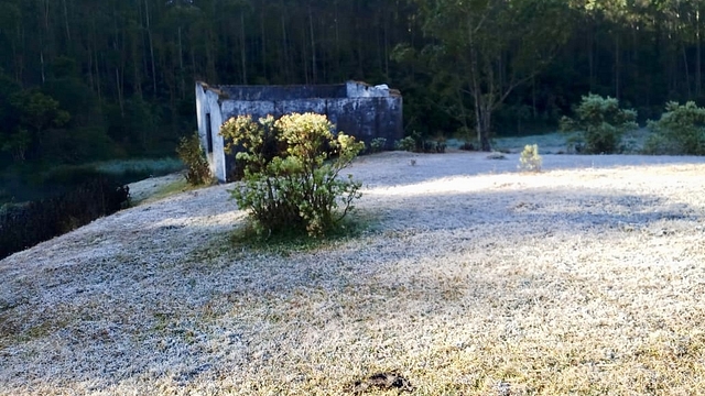 Snow in Munnar (Pic: Twitter)