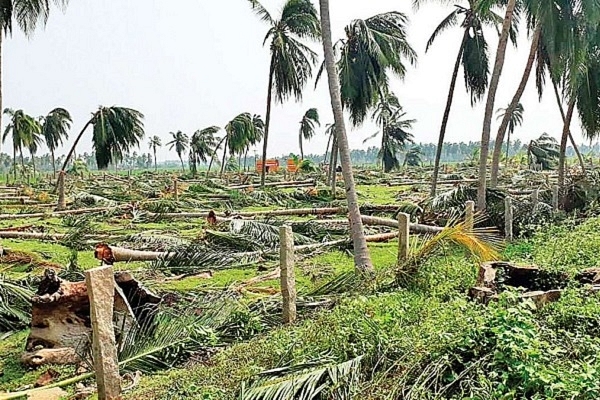 Cyclone Fani: Improved Warning System And Better Centre-State Coordination Limited The Number Of Casualties