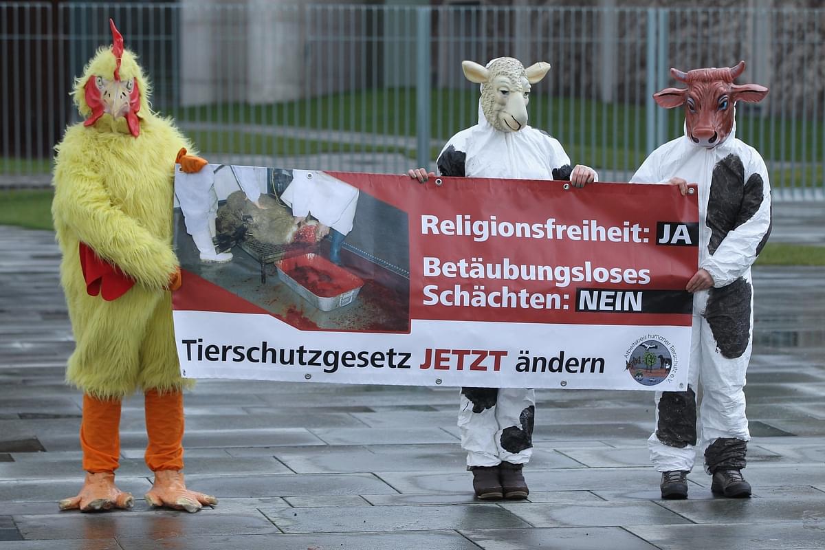 Belgium Bans Ritual Slaughter Of Animals: Hit By Protests From Muslim, Jewish Groups  