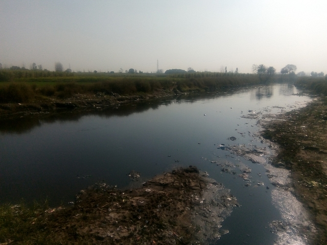 A view of ‘<i>kali nadi</i>’ another Ganga tributary contaminated by illegal slaughterhouse waste - Representative Image <i>(Swarajya)</i>