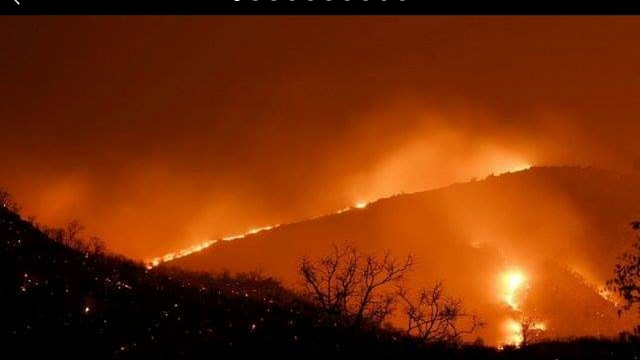 Representative Image of Forest Fire&nbsp;