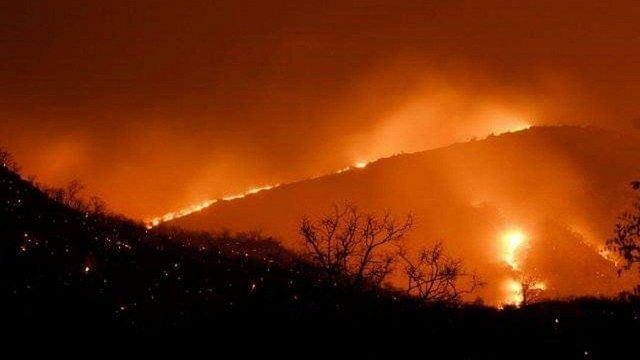 Bandipur forest fire (Twitter/@prasannamysoru)