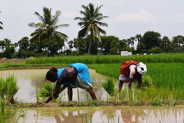 Representative Image (Bharat Bhushan/Hindustan Times via Getty Images)