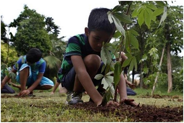 Social forestry in Maharashtra (Travel World Online/Twitter)