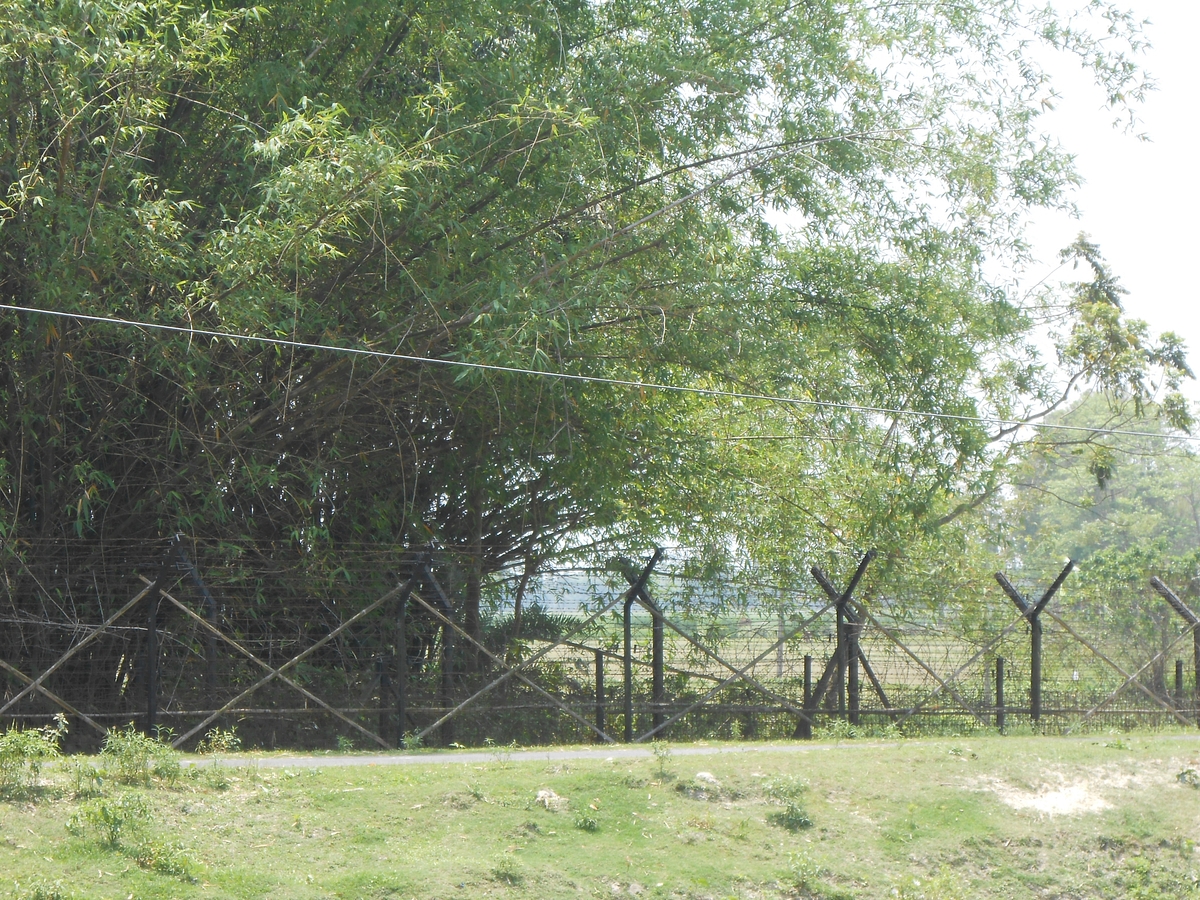 The Indo-Bangladesh border, now fenced.&nbsp;