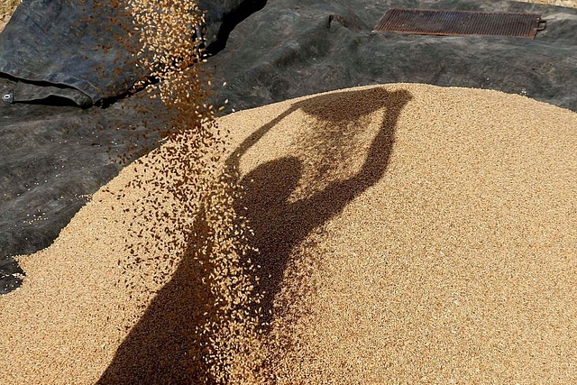 Wheat  (AFP/Getty Images)