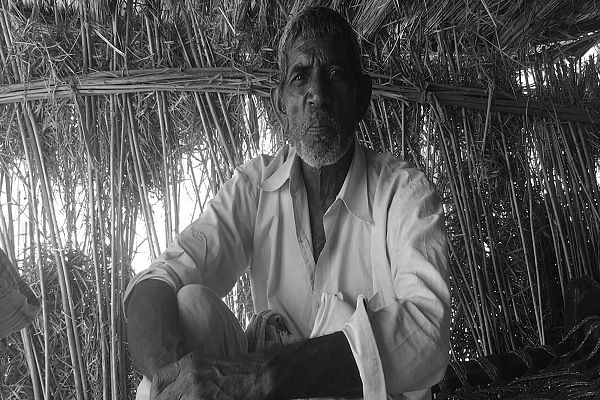Why Cattle Owners Are Helpless In Their Struggle Against The Beef Mafia