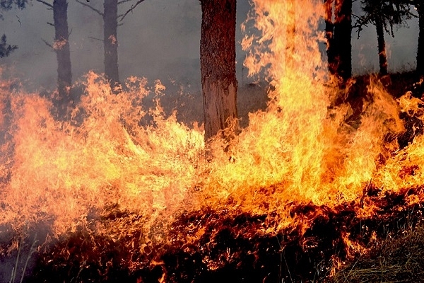 Death Toll In Australian Bushfires Reaches 29 Despite Recent Rainfall Helping Firefighters Contain Blazes