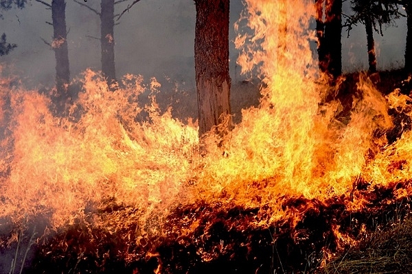 Wildfire - Representative Image