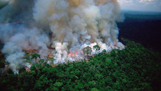 The Amazon forest fire. (via Twitter)