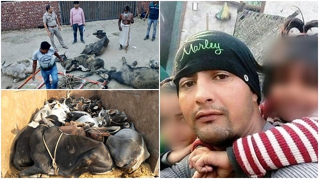 (Left) Photos of cattle rescued by Gopal’s team (Right) Gopal Singh 
