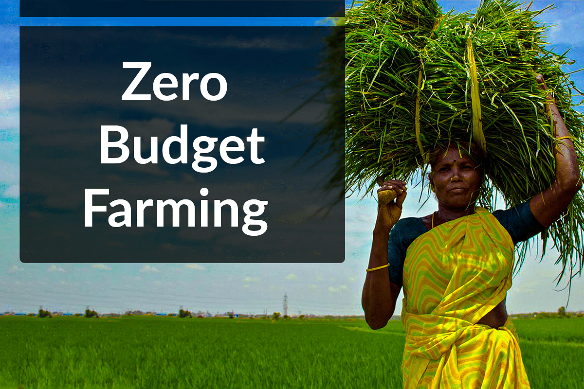 Time To Water The Zero Budget Farming Idea?