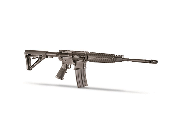 AM-15 assault rifle (Sportsman’s Guide)