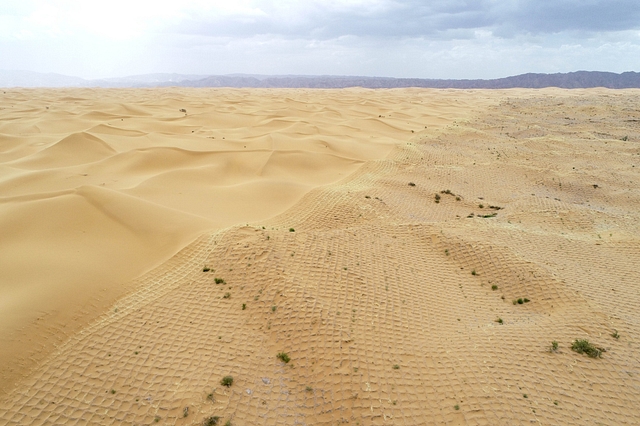 Fighting Desertification. (via @FlyOverChina/Twitter)