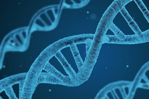 DNA - representative image (Source: @TheFarmTraveler/Twitter)