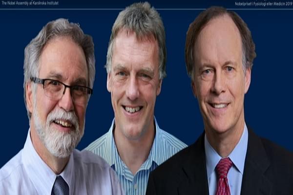 William Kaelin, Peter Ratcliffe And Gregg Semenza Jointly Win Nobel Prize In Medicine For Work On Cells