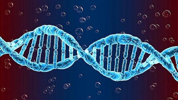 Indians' Genes Are The Reason For Country's Lower Mortality Rate Amid Covid-19 Pandemic: Research Claims