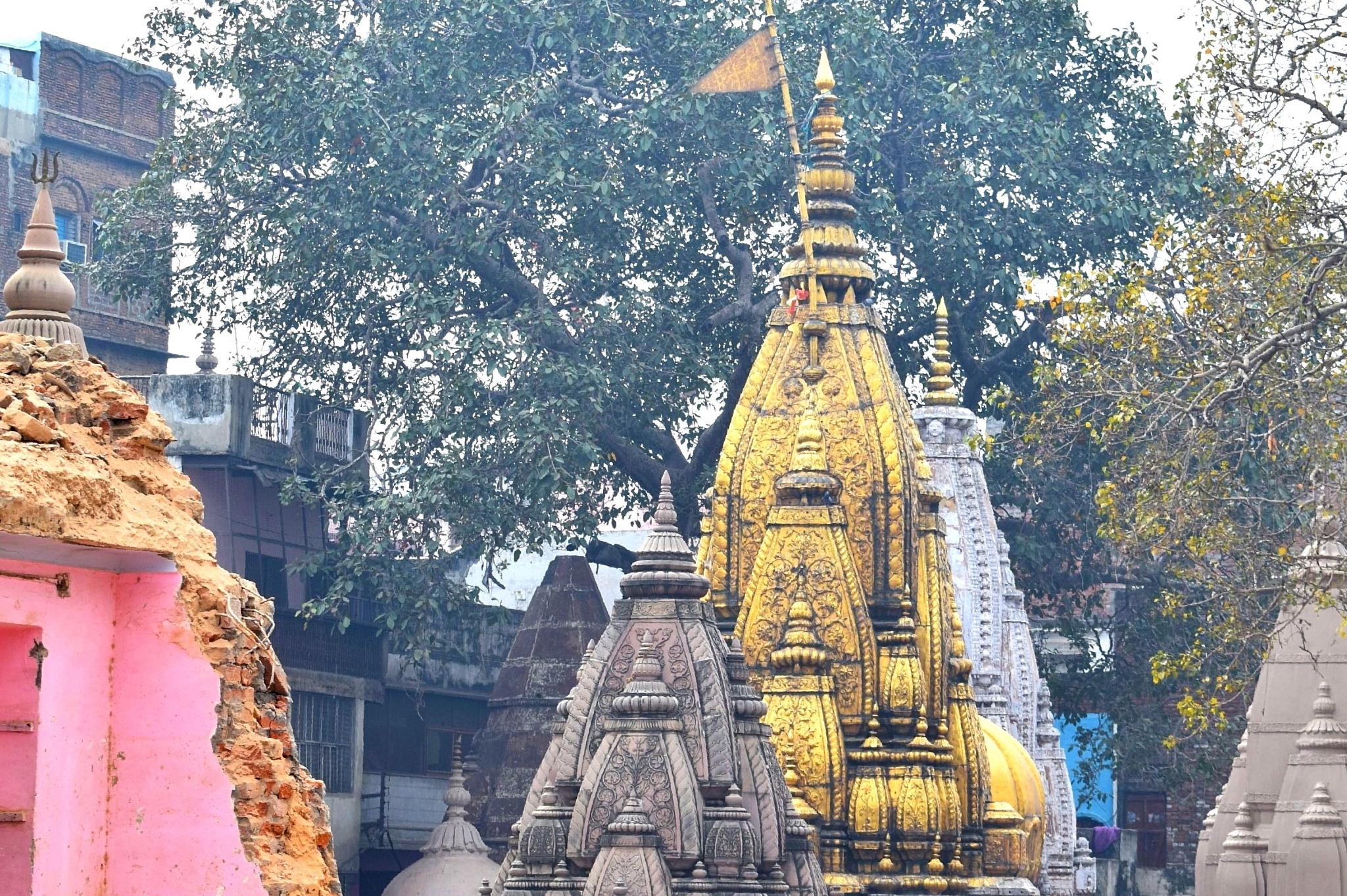 Kashi Vishwanath Temple