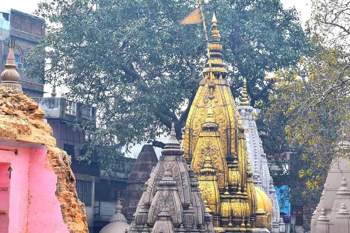 Varanasi Court Allows ASI Survey Of Kashi Vishwanath Temple-Gyanvapi Mosque Complex, UP Govt To Bear The Cost