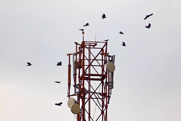 ‘Bruised, Battered And Bleeding’: Telecom Companies Paying For Their Own Sins