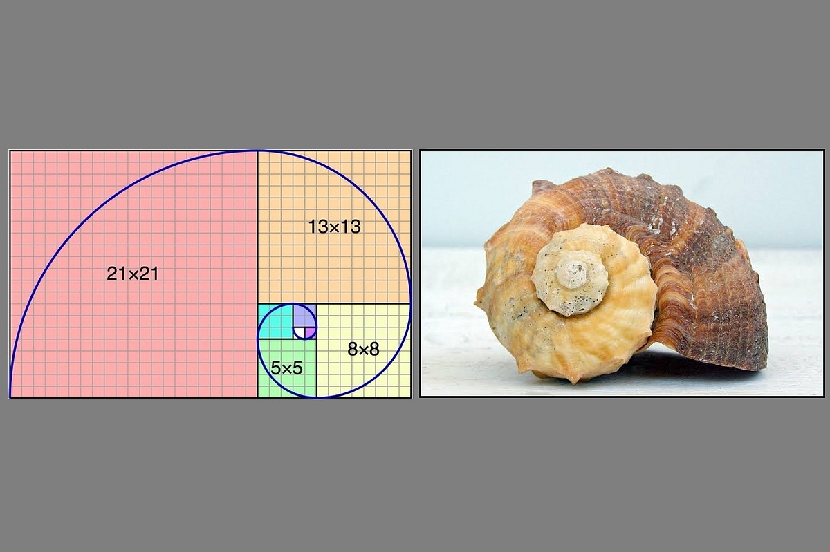 Fibonacci Sequence: The Connection To Vedas,  Role Of Sanskrit, And A Look Into What Drove Science In Ancient India