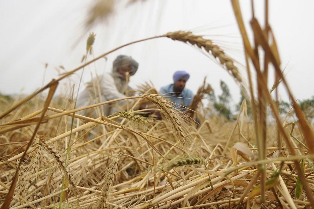 India Could Have Been An Agri Export Superpower, But Here’s Why It Is Still Stuck At The Bottom