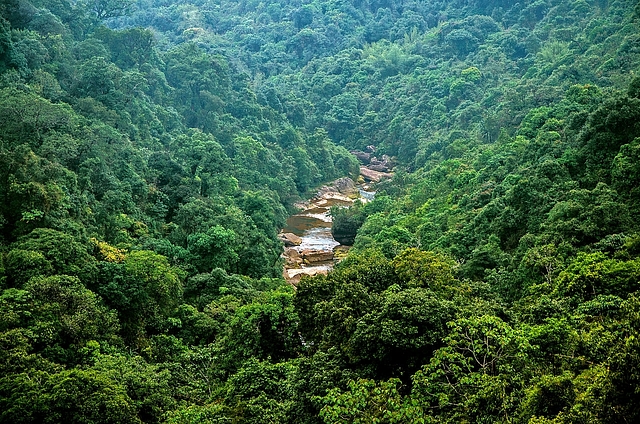 Forests in India (Picture: Wikimedia Commons)