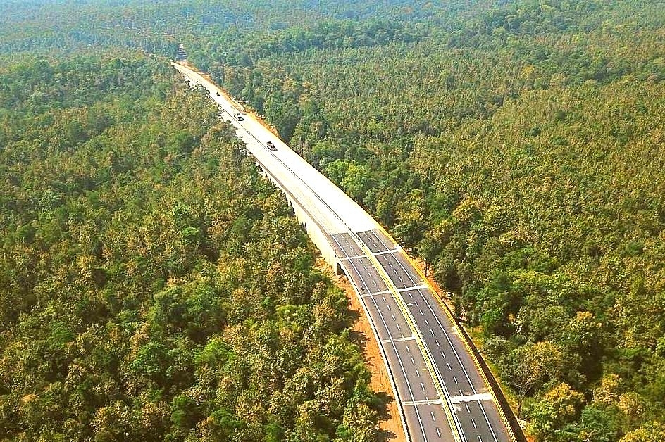 Why This Elevated Stretch On National Highway 44 Is A Hit With Animals In Pench Tiger Reserve