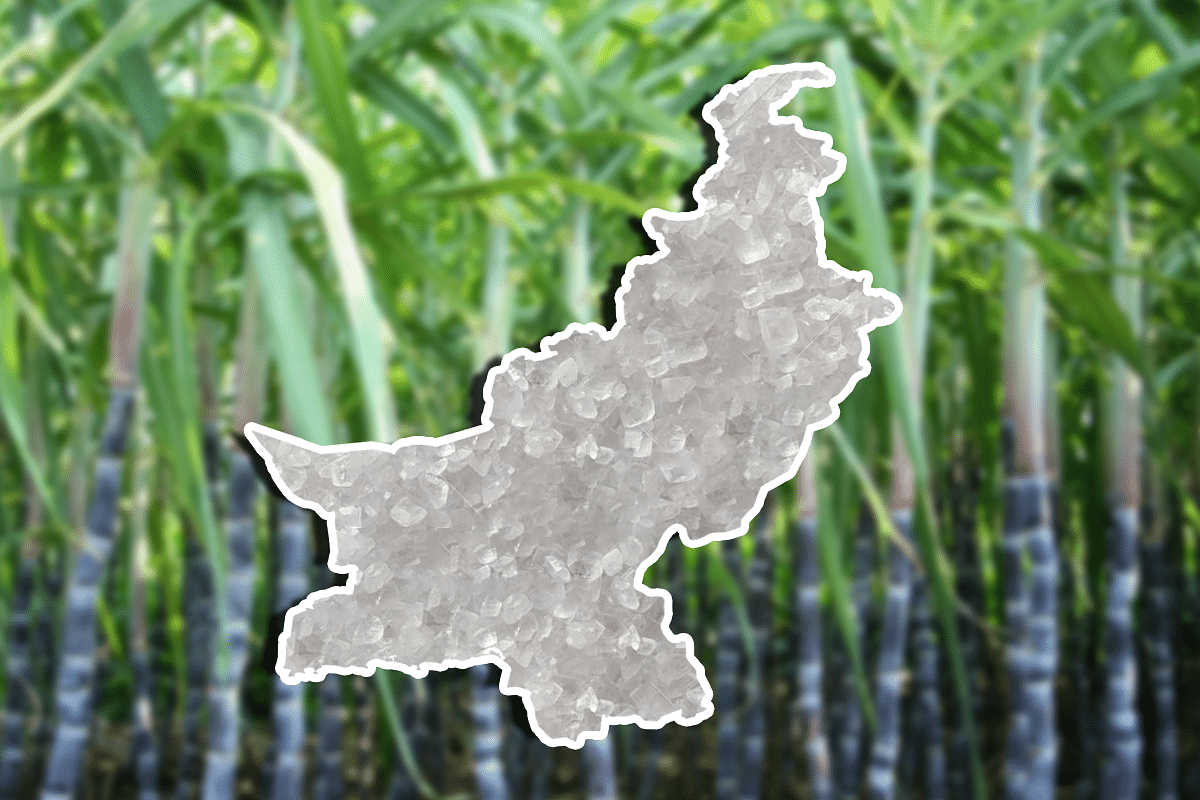 Surge In Global Sugar Prices: How Pakistan Has Fuelled The Market Further And Why India May Have An Opportunity