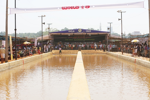 The track that is created each year at Mangaluru Kambala to give city residents an experience (Photo: HB/Mangaluru Kambala)