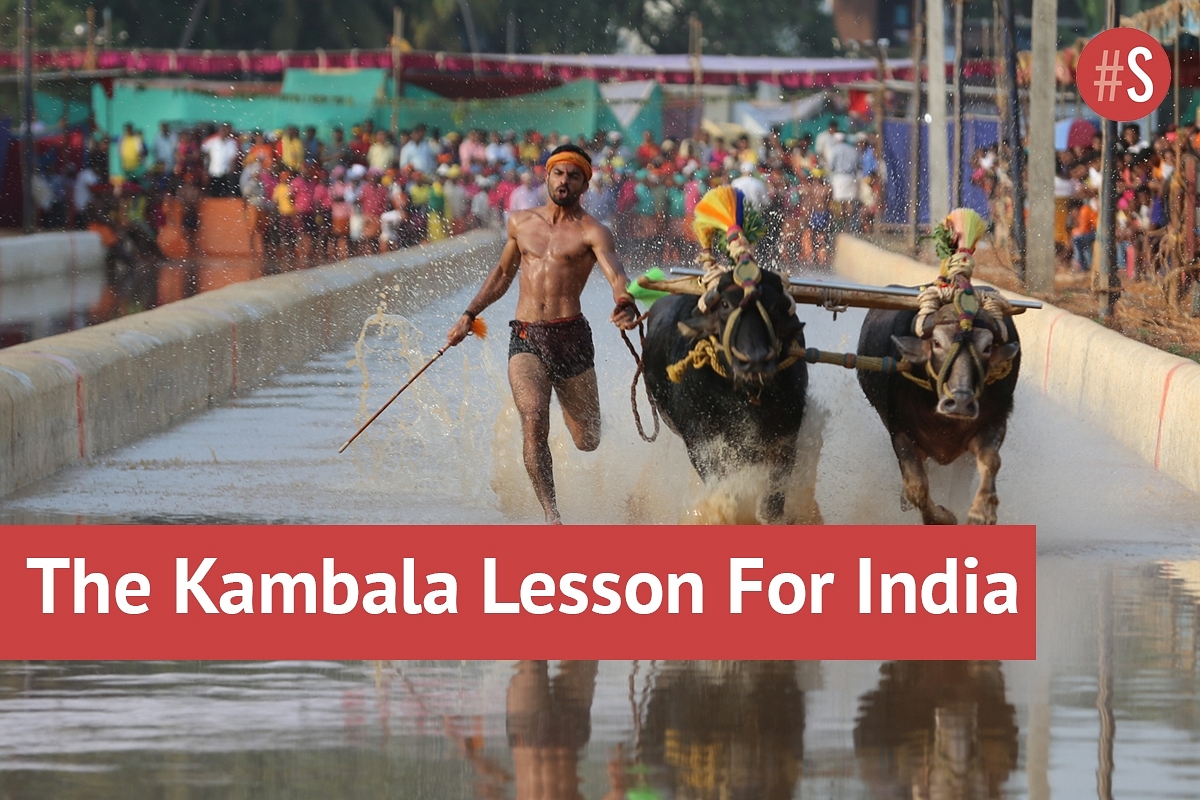 Indic Culture Kept Kambala Going; Now It’s Time For The ‘System’ To Catch Up