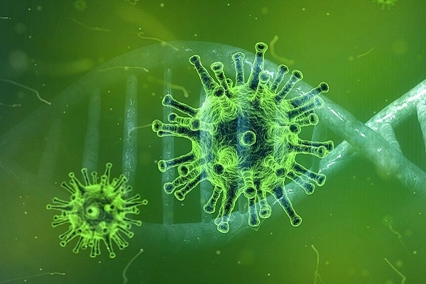 Coronavirus - representative image (TheDigitalArtist/Pixabay)