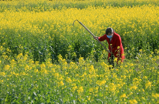 Pic Courtesy: National Geographic