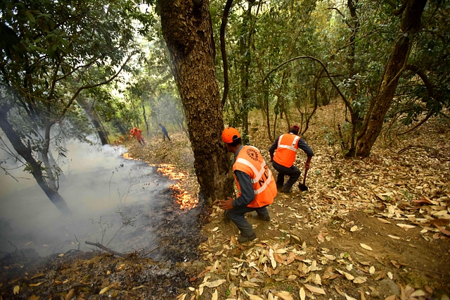 NDRF personnel douse the flames and conduct rescue operation in Uttarakhand. (Arun Sharma/Hindustan Times via Getty Images)