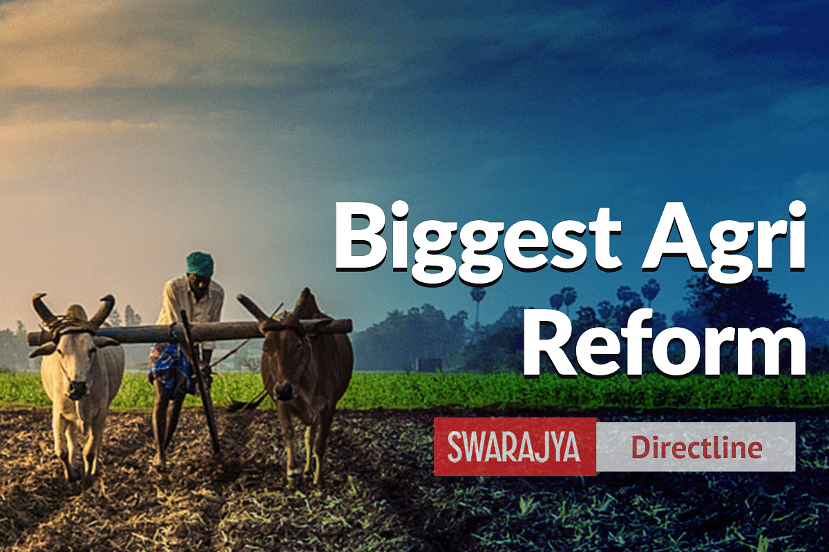 Contract Farming Reform – Here Are The Long-standing Problems This Can Help Resolve