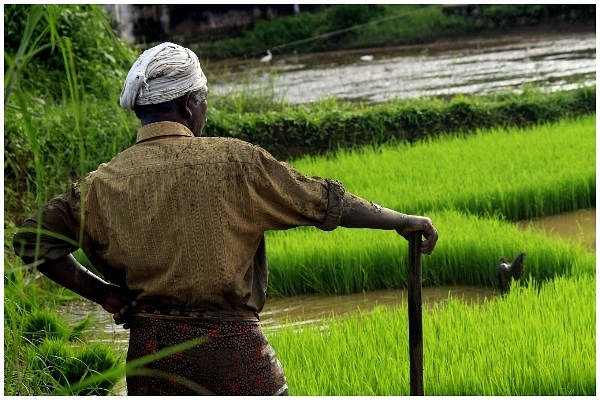 A farmer&nbsp; (representative image)