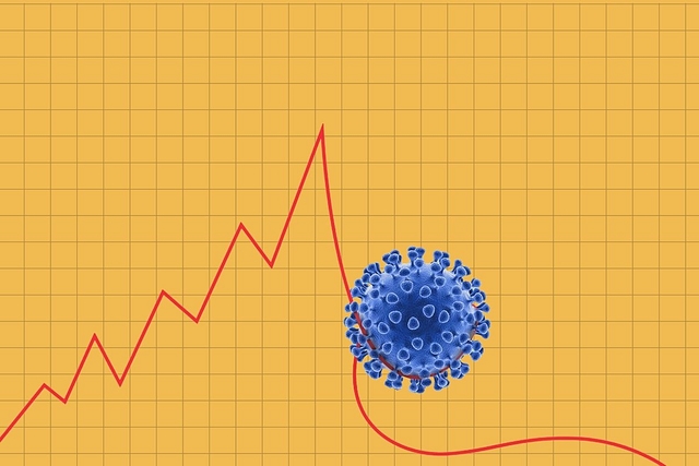 Coronavirus Curve&nbsp;