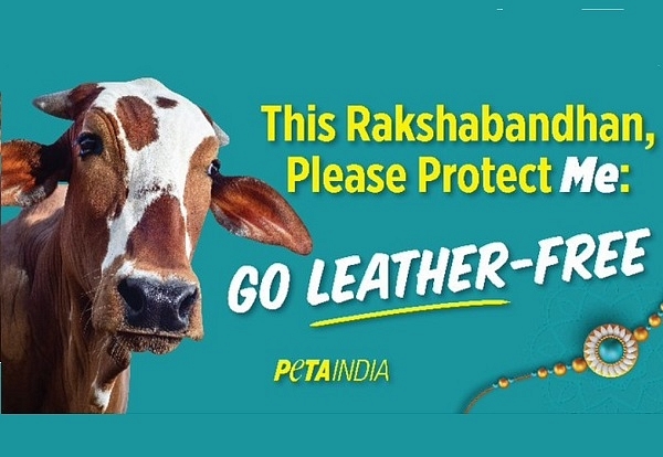 ‘Cows Deserve Protection’: PETA Clarifies After Facing Flak Of Netizens Over Poorly-Timed Raksha Bandhan Campaign