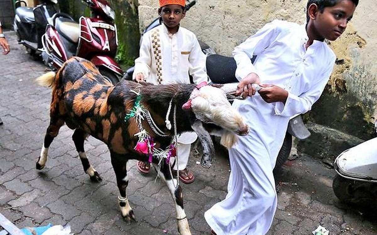 “Obligatory Upon The Muslim Faithful To Perform The Sacrifice Of Goats” -Maharashtra Cong Urges CM To Allow Bakri-Eid