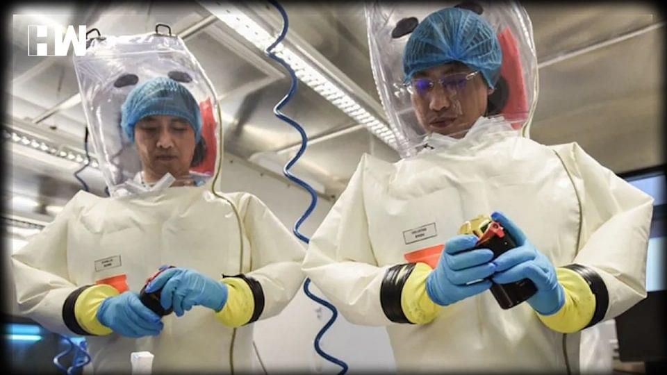 China: Covid-19 Like Virus From A Bat-Infested Mine That Caused Severe Pneumonia Was Sent To Wuhan Lab in 2013  