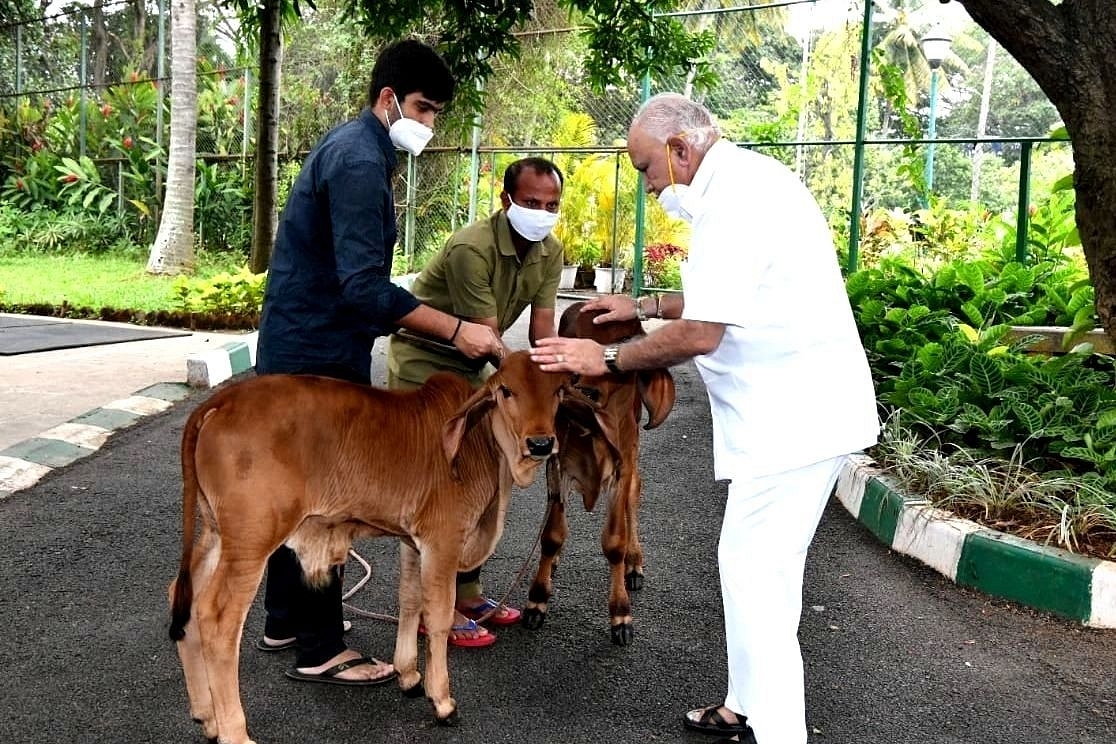 Karnataka: Yediyurappa Govt Looks To Ban Cow Slaughter; BJP Promised Anti-Cow Slaughter Law In Manifesto 