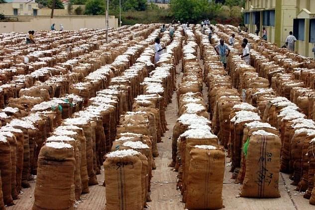 Centre Procures 25 Per Cent Of India’s Cotton Production Under MSP Operations, Helps Lift Prices Higher