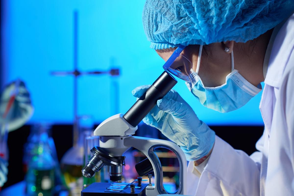 Indian Agri Scientists Close To Releasing Vaccine To Resist Major Disease In Paddy Plants