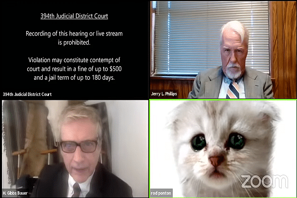 'I Am Not A Cat': Texas Lawyer Tells Judge As He Turns Himself Into One Thanks To Zoom Filter