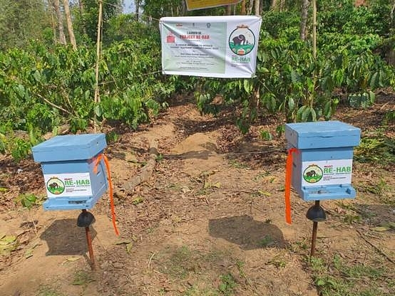 Nitin Gadkari Hails KVIC Project Of Using Honey Bees To Prevent Elephant - Human Conflict In Karnataka’s Kodagu Dist
