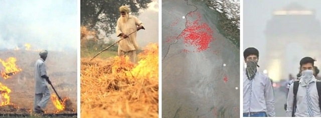 Why Environment Activists Like Greta Thunberg Should Support India’s Farm Reforms