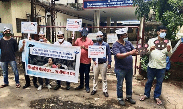 Mumbai: Patient Bitten By Rat In BMC Hospital Dead, AAP Demands Action  
