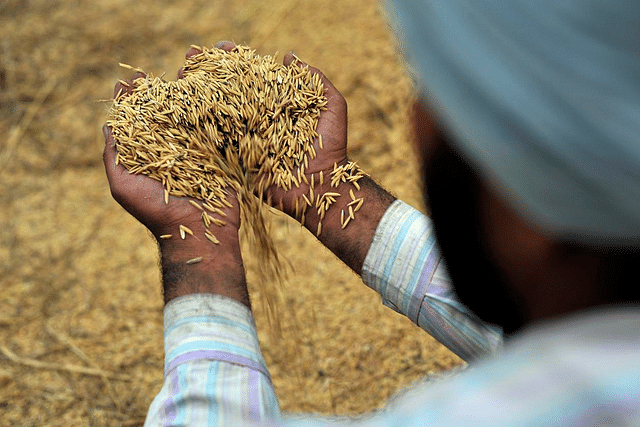 MSP Hike For Rabi Crops Announced: New Rate For Wheat Gives 100 Per Cent Returns To Farmers, Says Government