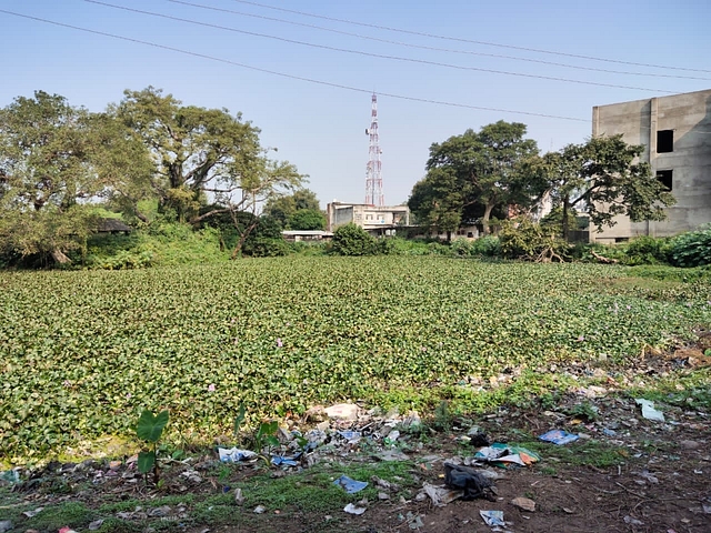One of the Kunds before cleanup