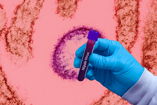 Why Does Kerala's Kozhikode District See Repeated Nipah Infections? Experts Explain Why